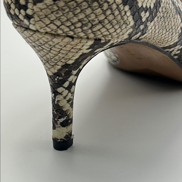 New Tahari Sofiya Kitten Heel Pumps 9 Snakeskin Pointy Toe Beige Black Classic - Picture 15 of 16
